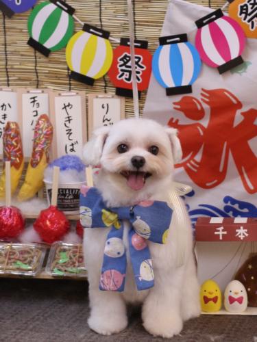 20240725うるちゃん